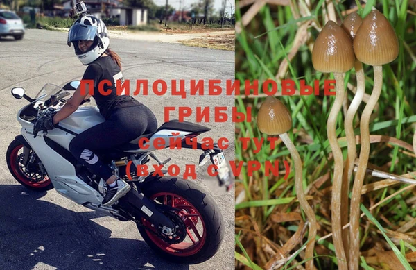 круглые Заводоуковск