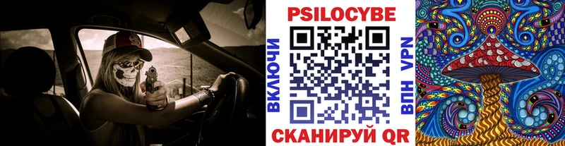 Купить где  Плавск  Галлюциногенные грибы Magic Shrooms 